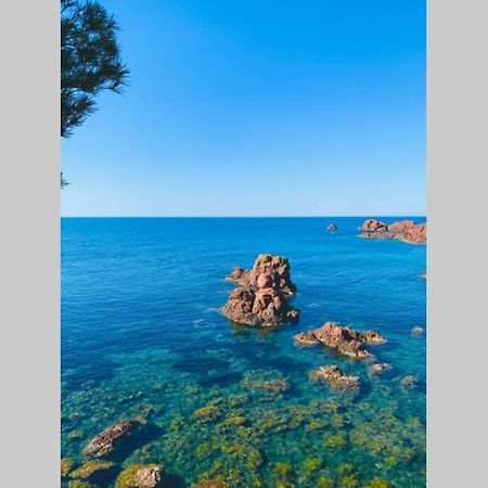 Superbe 4 Couchages Avec Terrasse - Clim - 50M De La Mer Saint-Raphaël Exteriör bild
