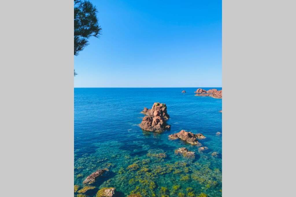 Superbe 4 Couchages Avec Terrasse - Clim - 50M De La Mer Saint-Raphaël Exteriör bild