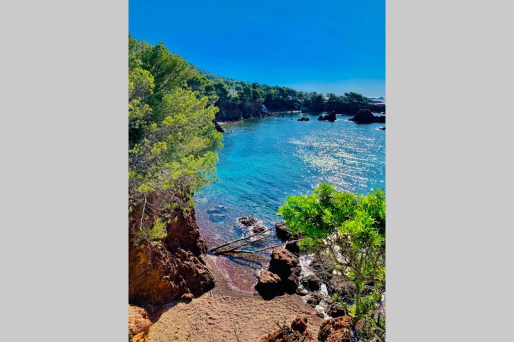 Superbe 4 Couchages Avec Terrasse - Clim - 50M De La Mer Saint-Raphaël Exteriör bild