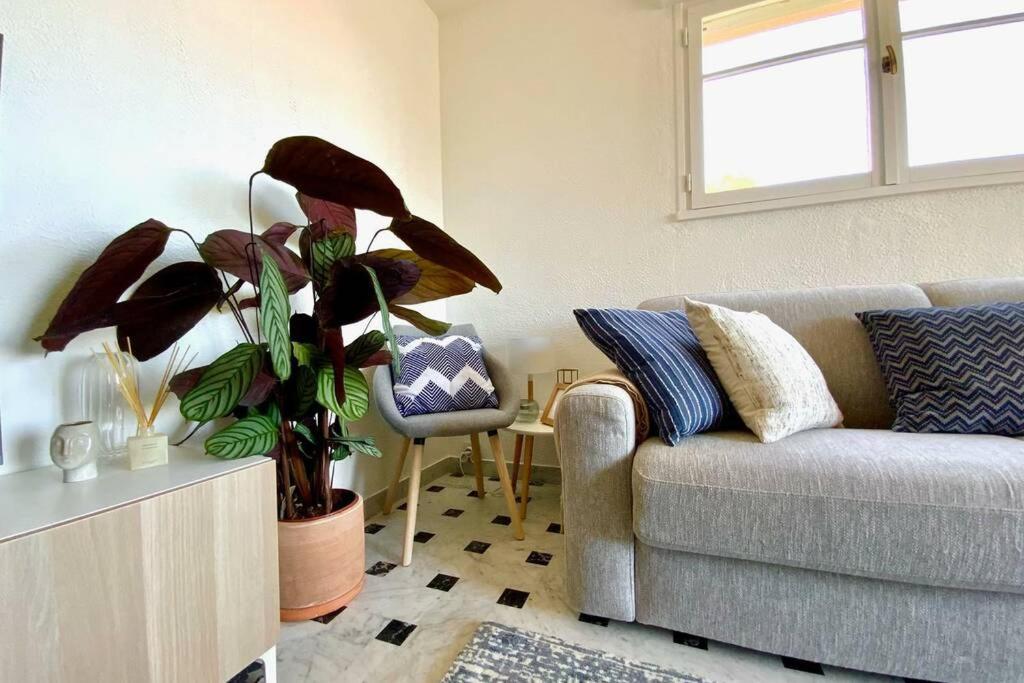 Superbe 4 Couchages Avec Terrasse - Clim - 50M De La Mer Saint-Raphaël Exteriör bild
