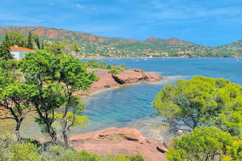 Superbe 4 Couchages Avec Terrasse - Clim - 50M De La Mer Saint-Raphaël Exteriör bild