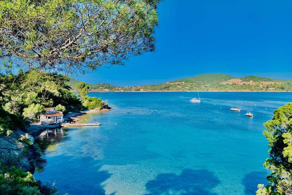 Superbe 4 Couchages Avec Terrasse - Clim - 50M De La Mer Saint-Raphaël Exteriör bild