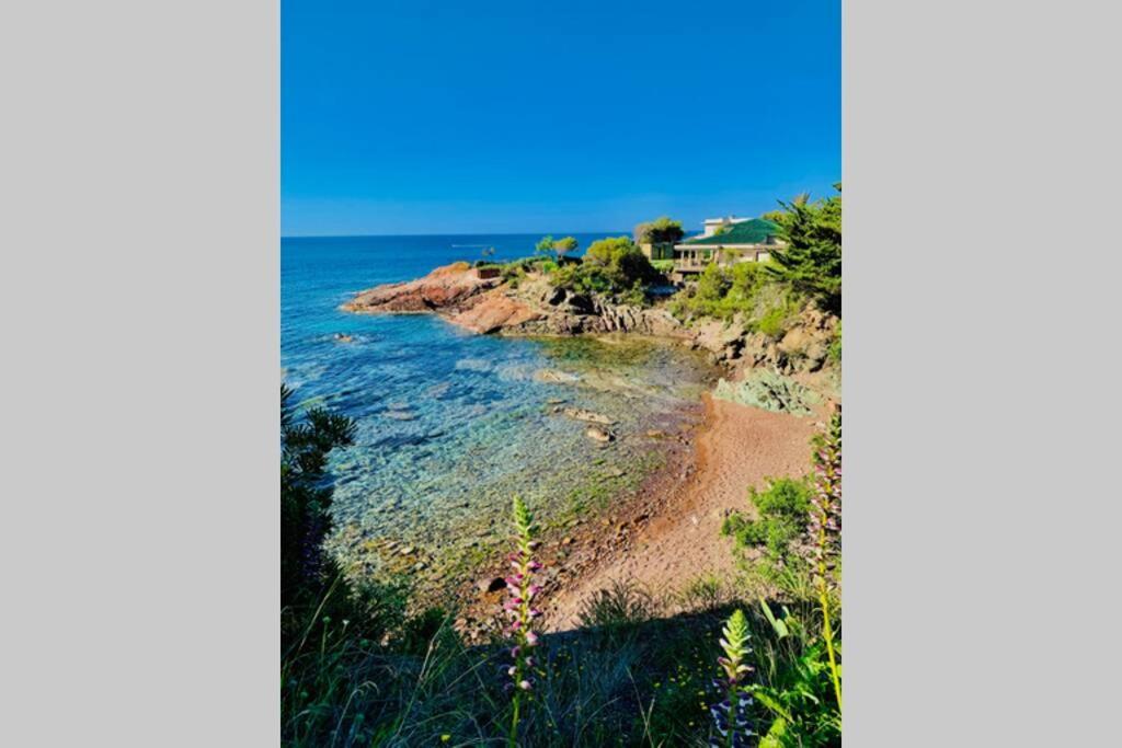 Superbe 4 Couchages Avec Terrasse - Clim - 50M De La Mer Saint-Raphaël Exteriör bild