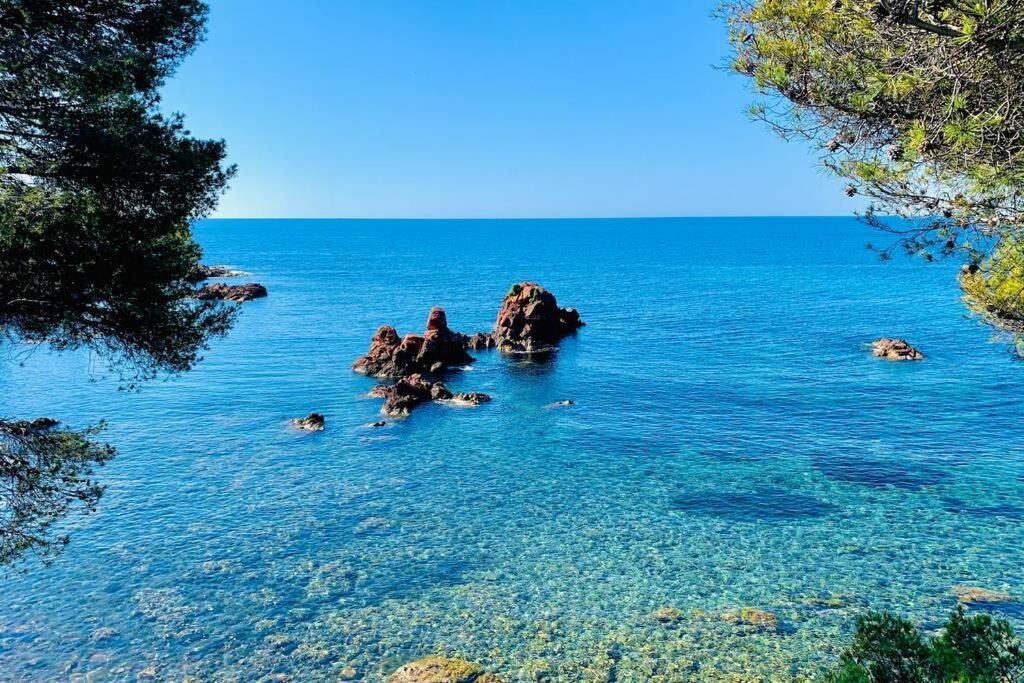 Superbe 4 Couchages Avec Terrasse - Clim - 50M De La Mer Saint-Raphaël Exteriör bild